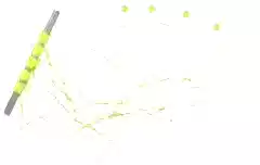 Lineaeffe Stoper Tope