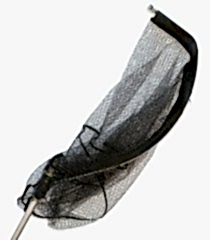 Lineaeffe Guadino Monster