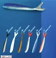 Nomura Orgınal Double Taıl 7,5cm 2.1g 10 Adet Sahte Balık